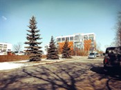 Улица Васильевская