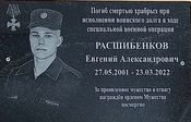 MD-Raschibenkov