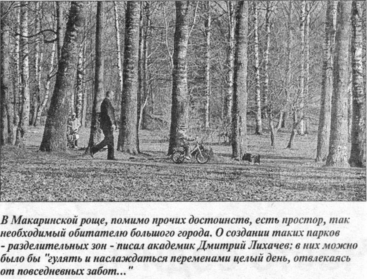 Роща Стих